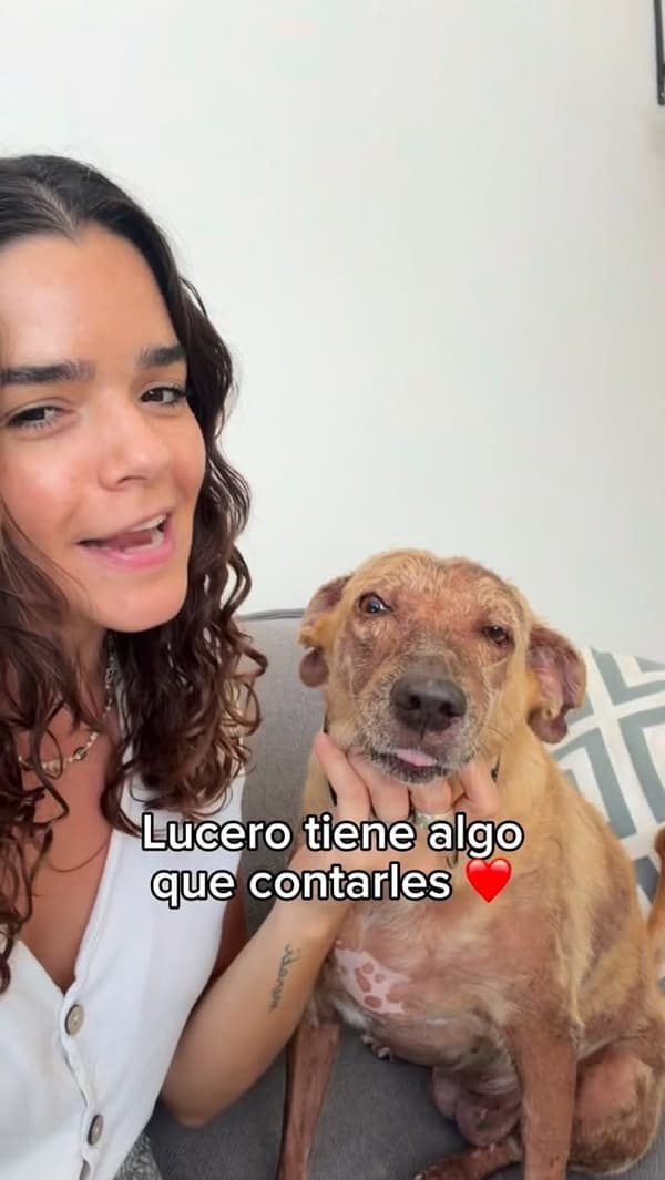 Lucero