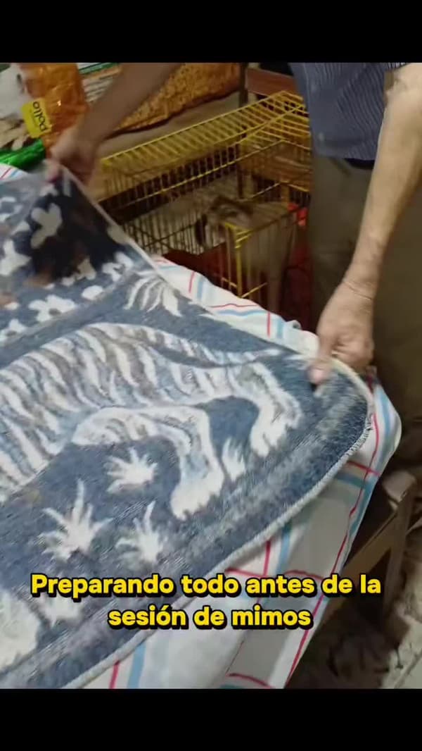 Sin nombre