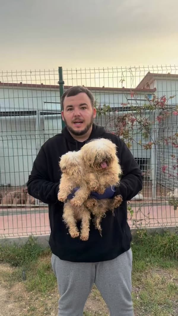 2 animalitos
