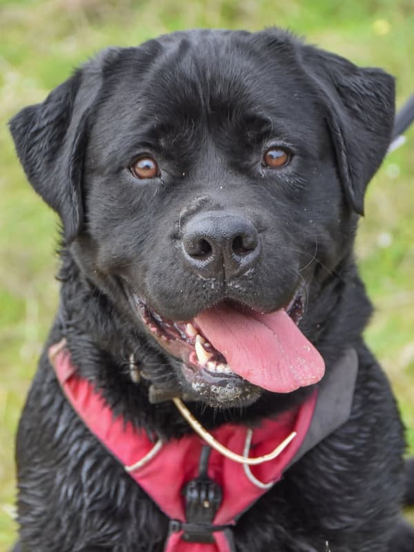Max
