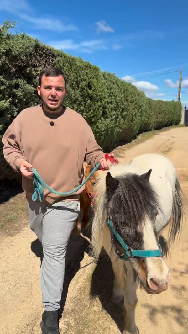 2 animalitos