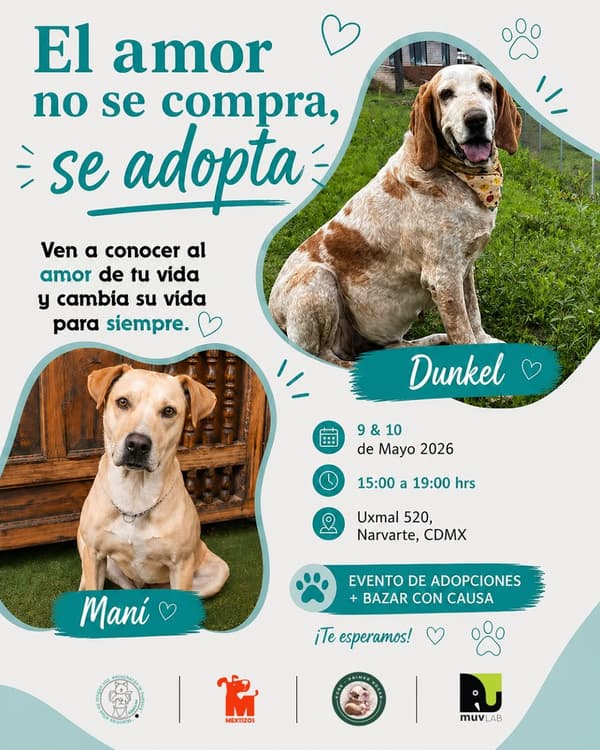 Dunkel, Maní