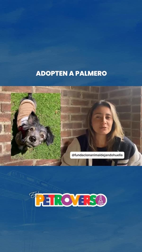 Palmero