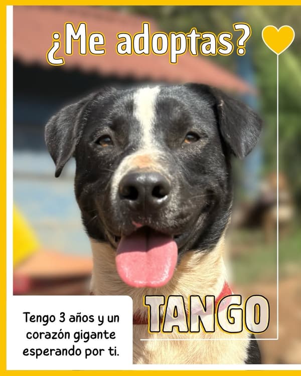 Tango