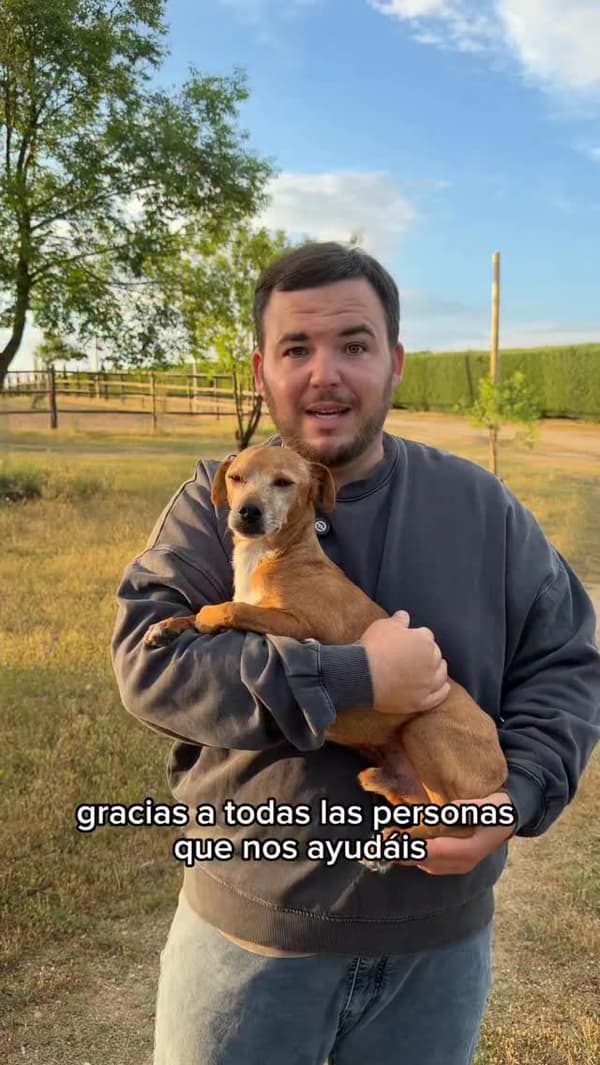 Toñín