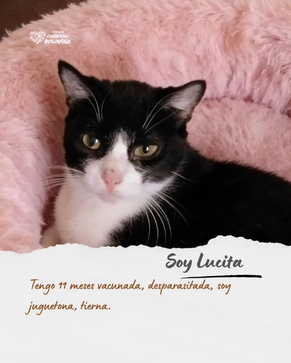 Lucita