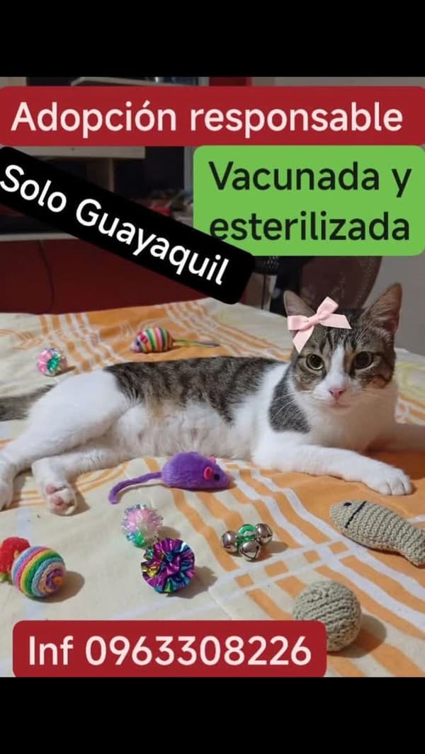 Sin nombre