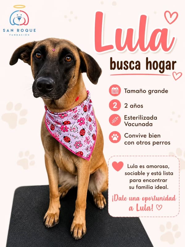 Lula