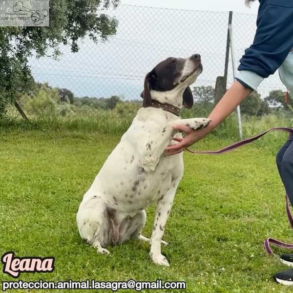 Leana