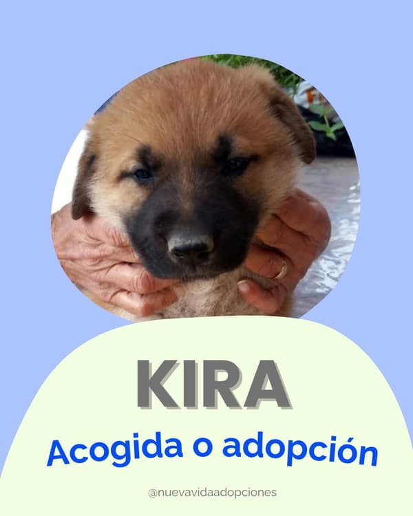 KIRA
