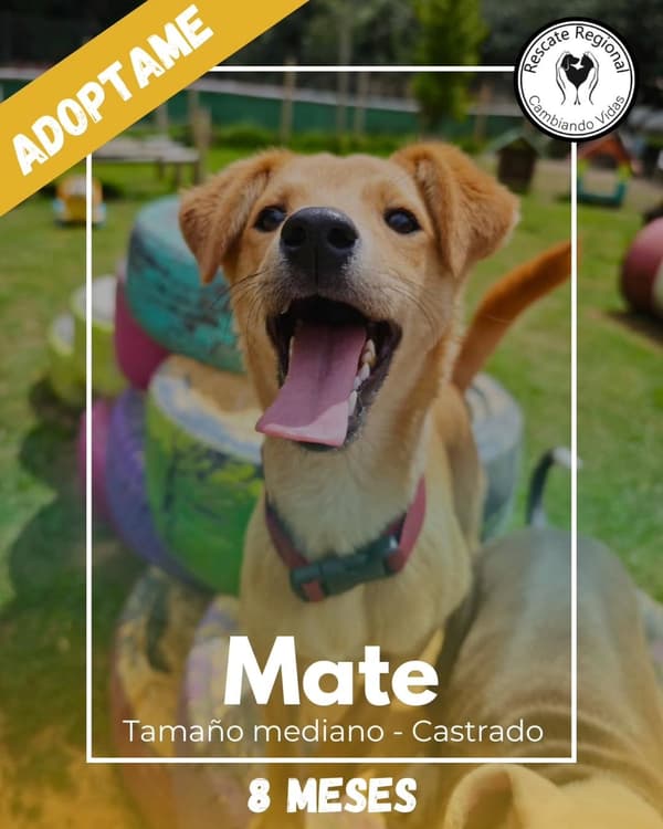 Mate