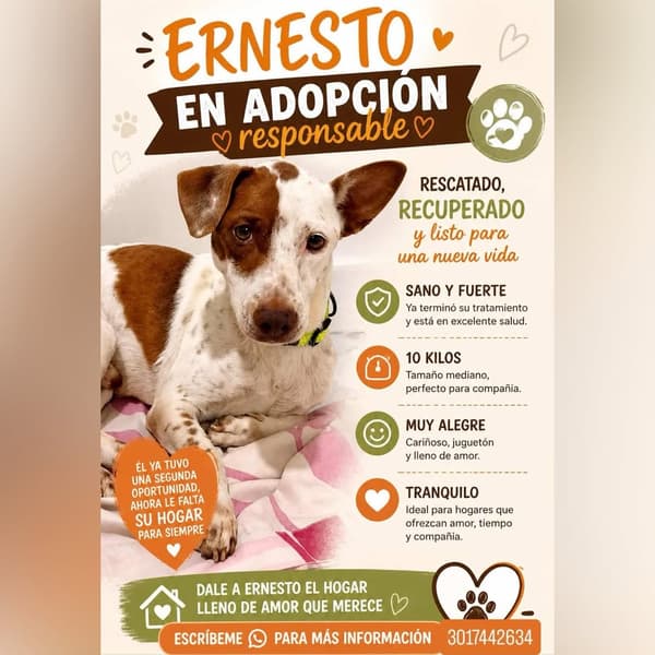 Ernesto