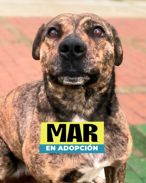 Mar