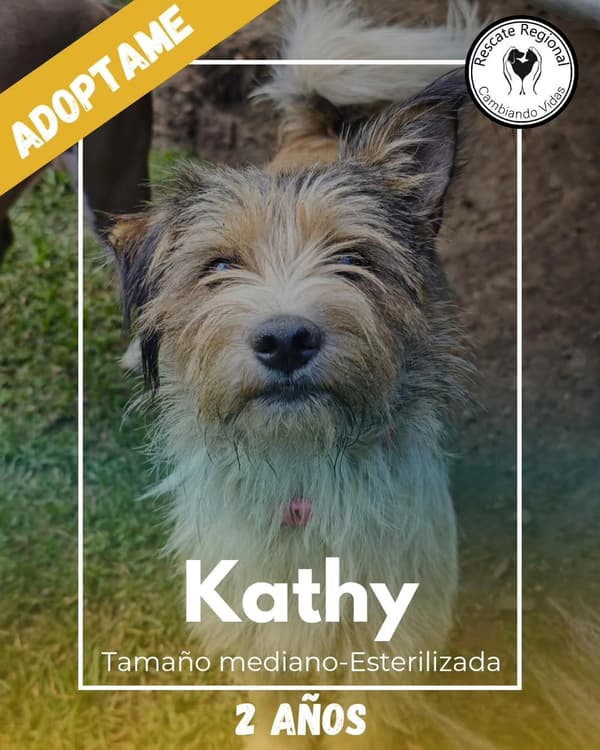 Kathy