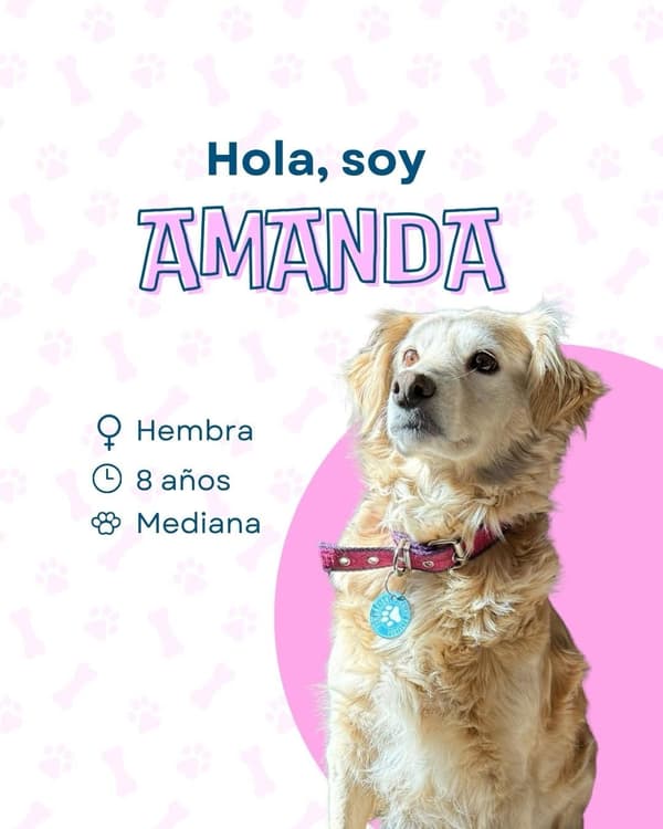 Amanda