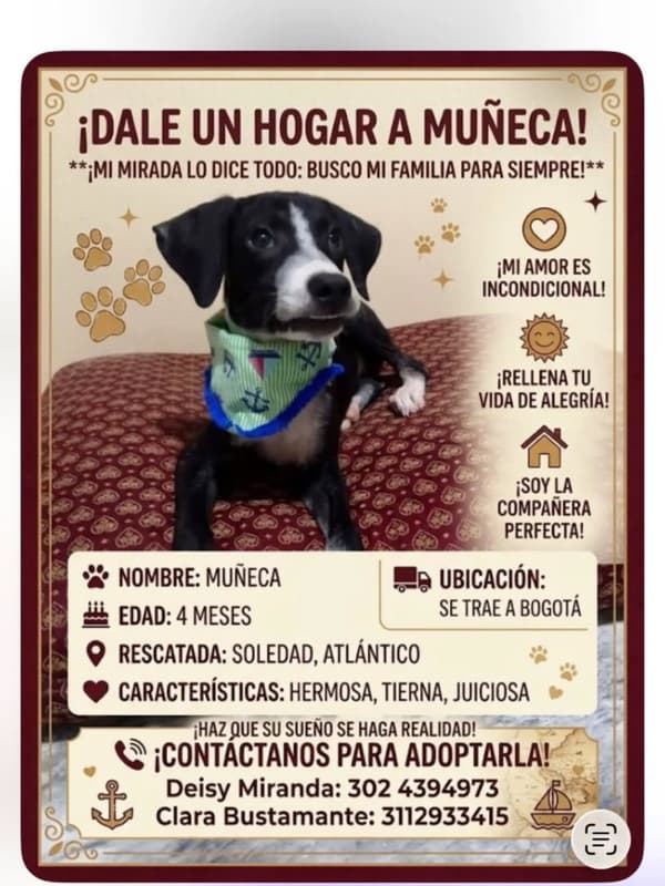 Muñeca