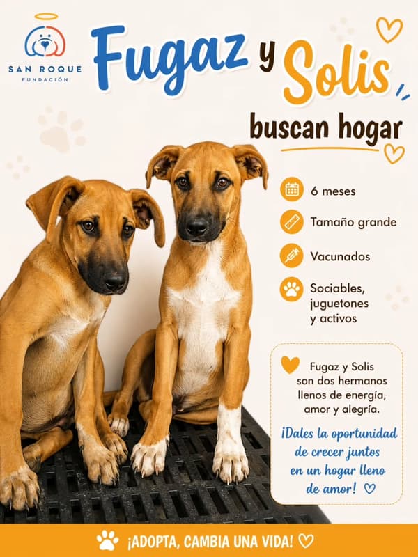 Fugaz, Solis