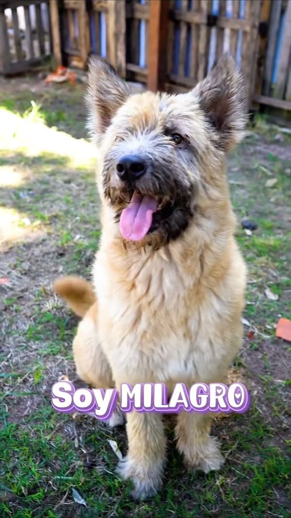 Milagro