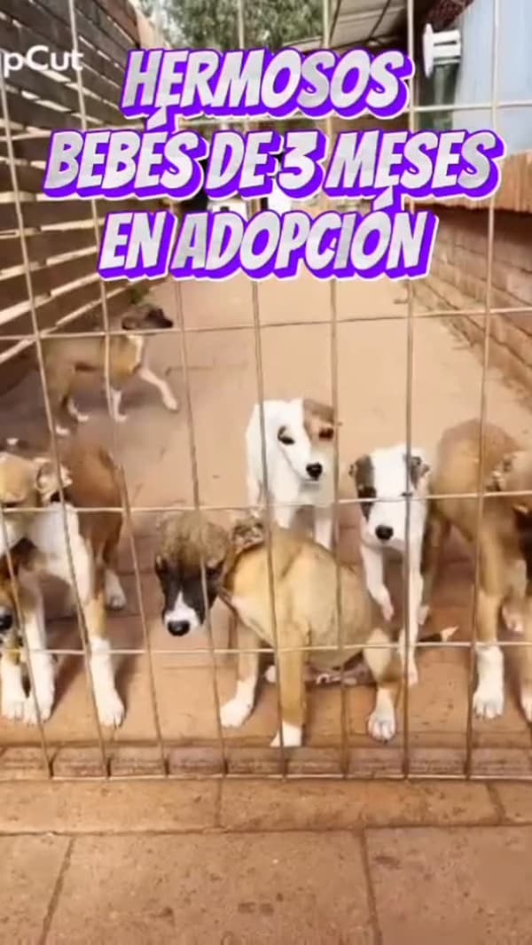 Sin nombre