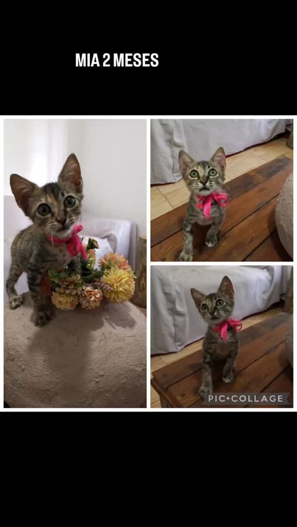 Mia