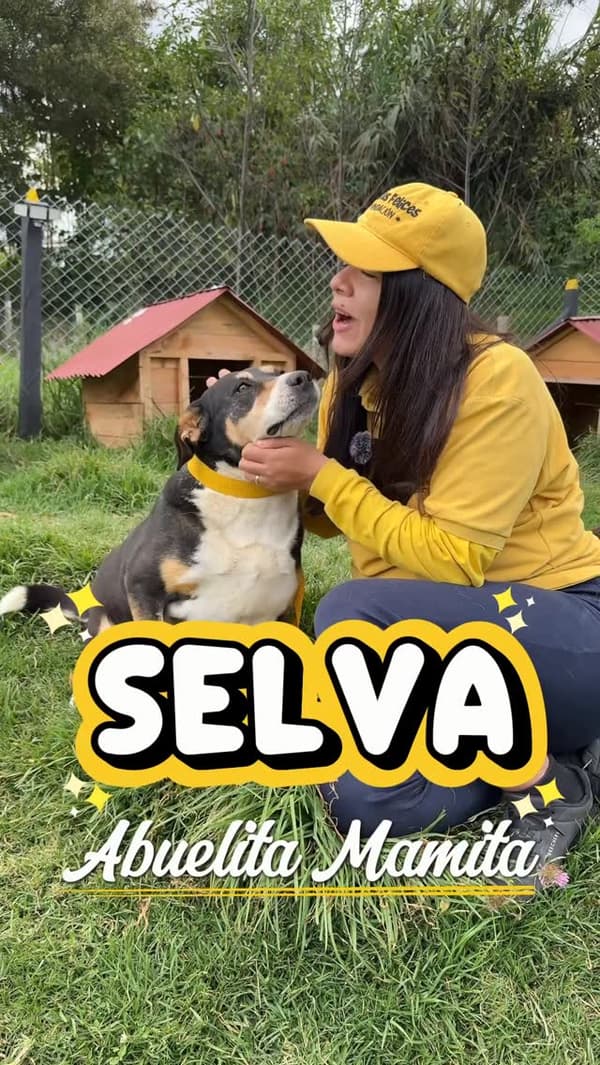 Selva