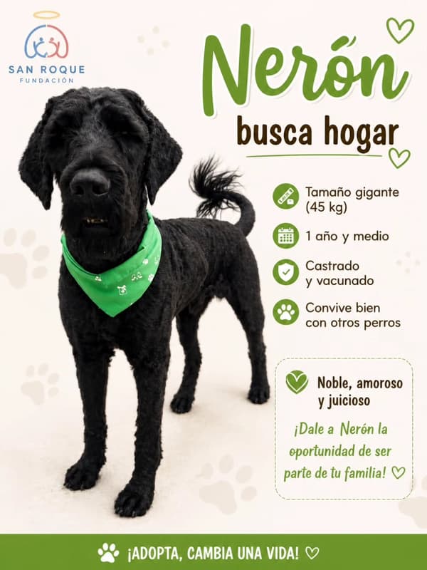 Nerón