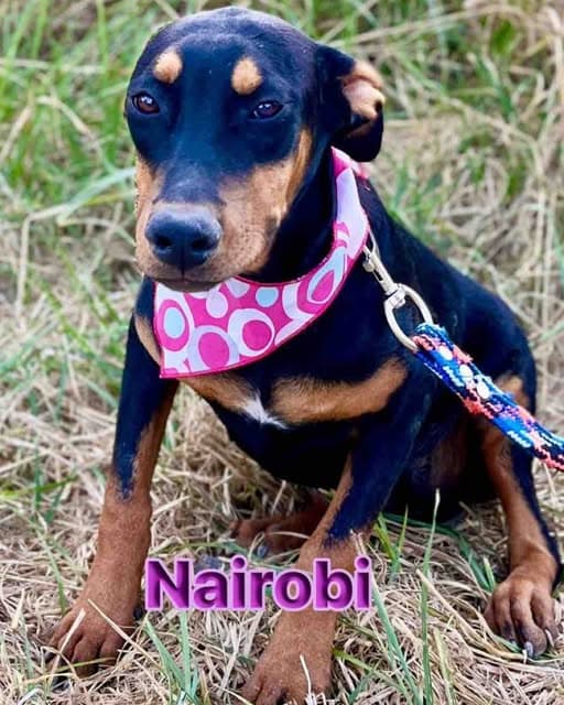 Nairobi