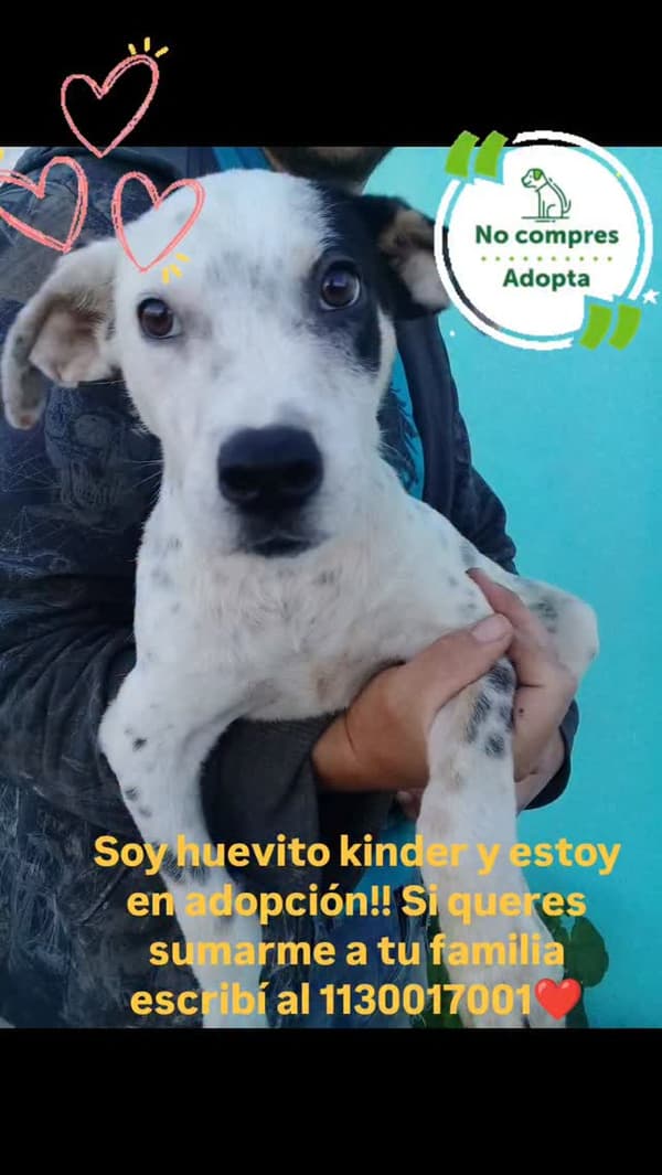 Huevito Kinder