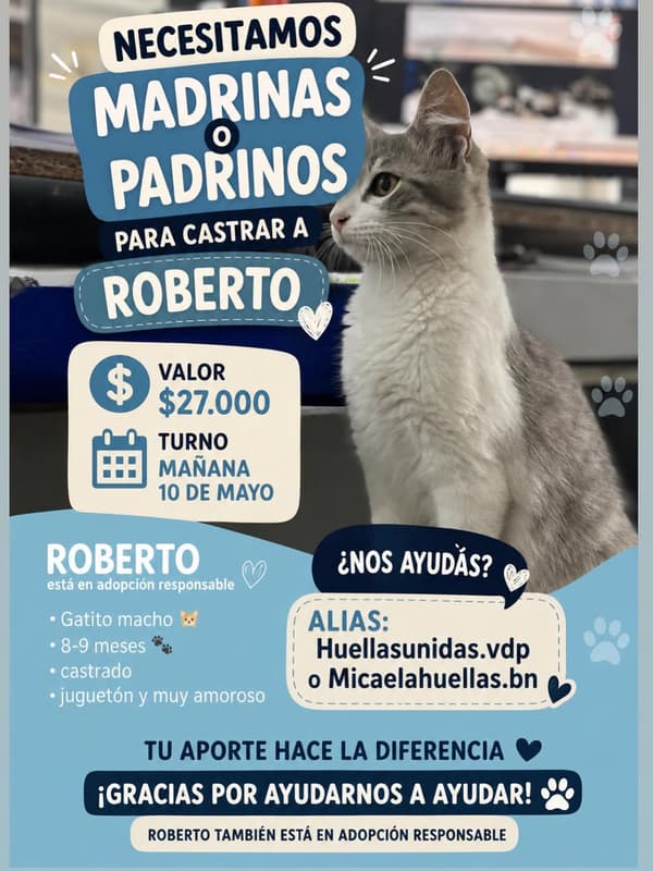 Roberto