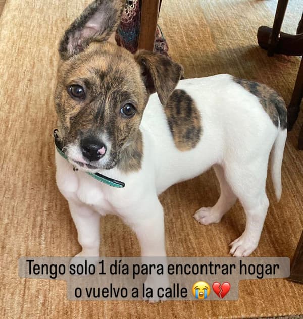 Sin nombre