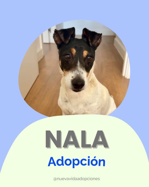 NALA