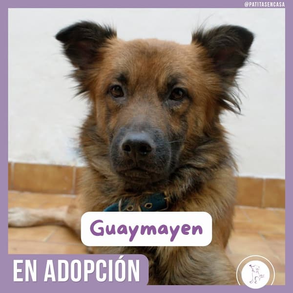 Guaymayen