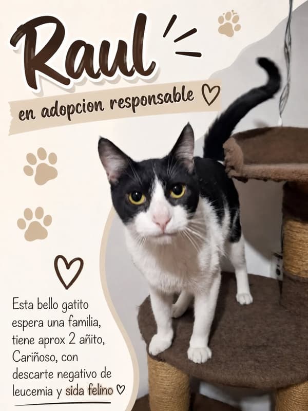 Raul