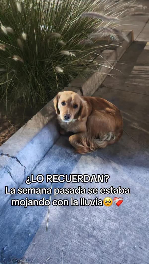 Sin nombre