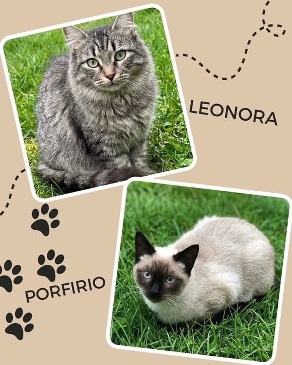 Leonora, Porfirio