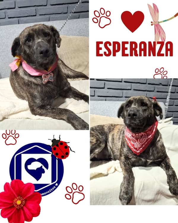 Esperanza
