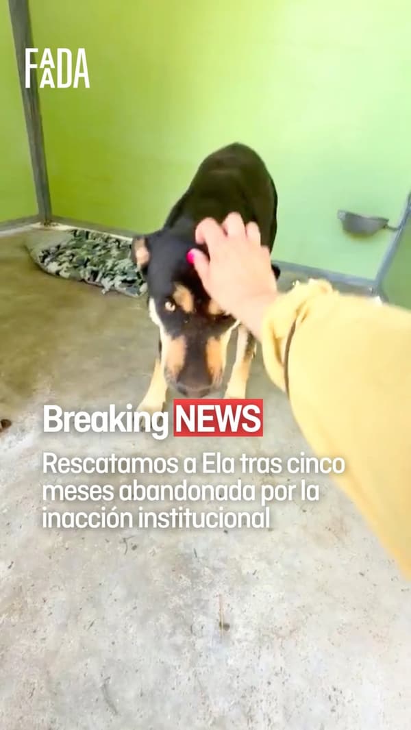 Ela