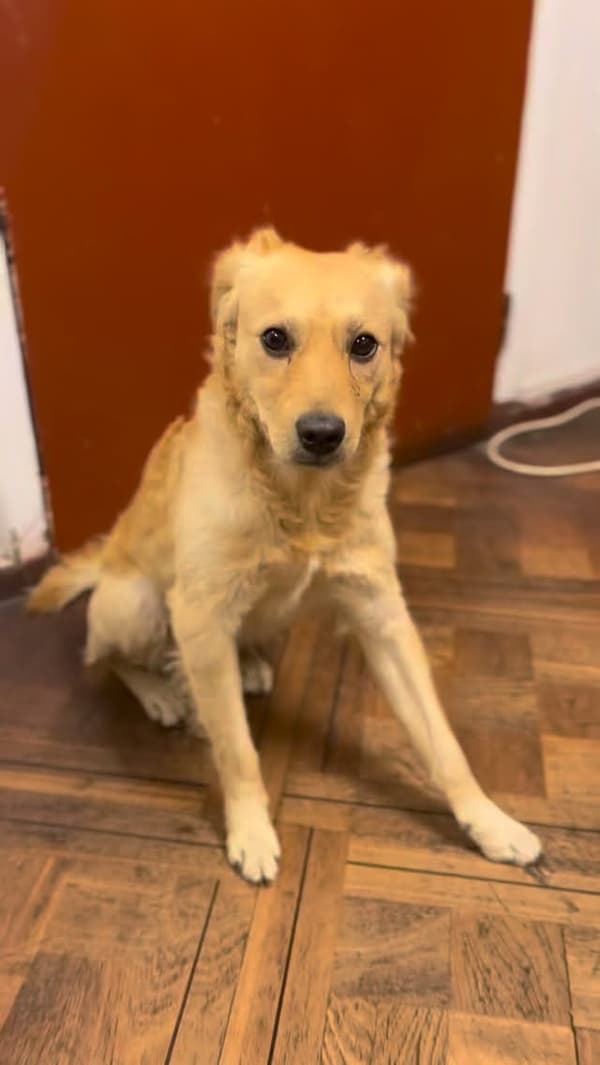 Sam