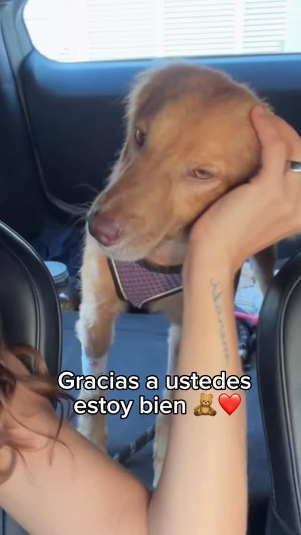 Sin nombre