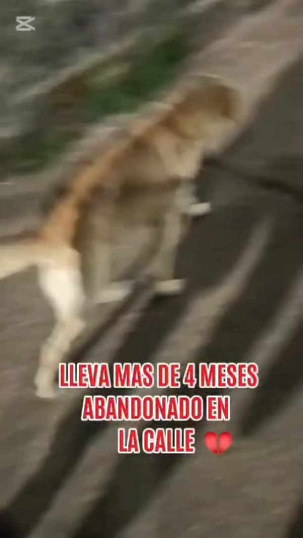 Sin nombre