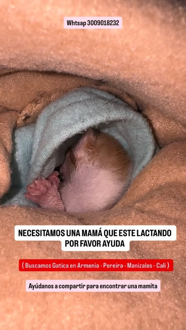 Sin nombre