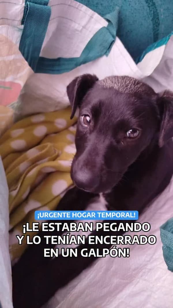 Sin nombre