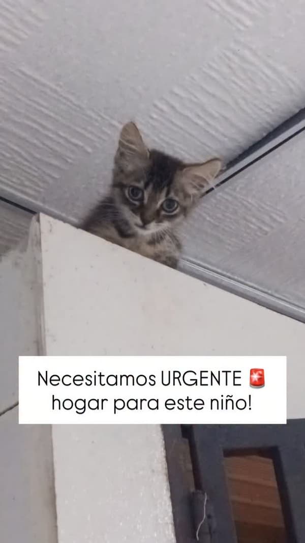 Sin nombre