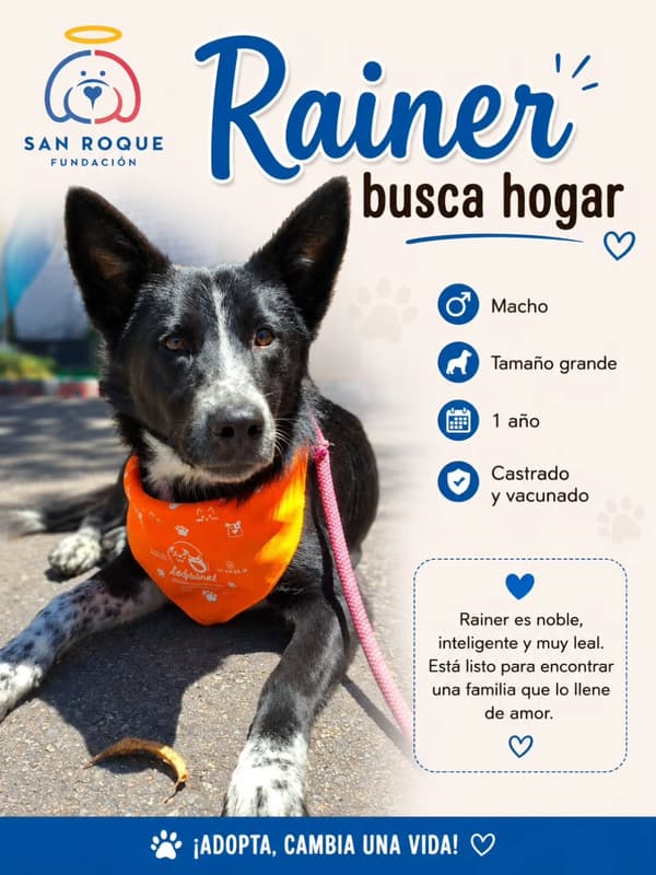 Rainer