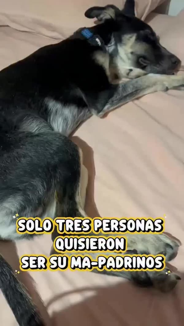 Milo