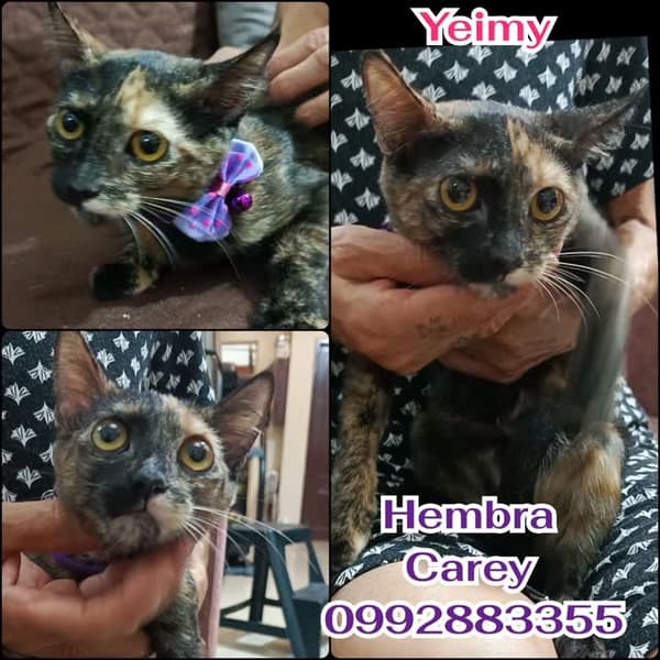 Yeimy