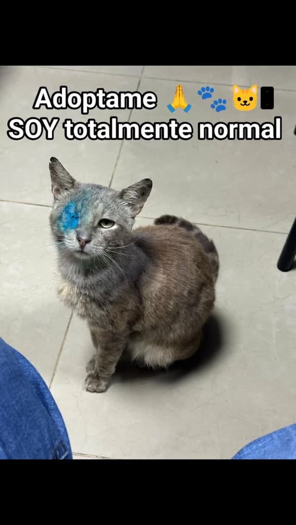 Sin nombre