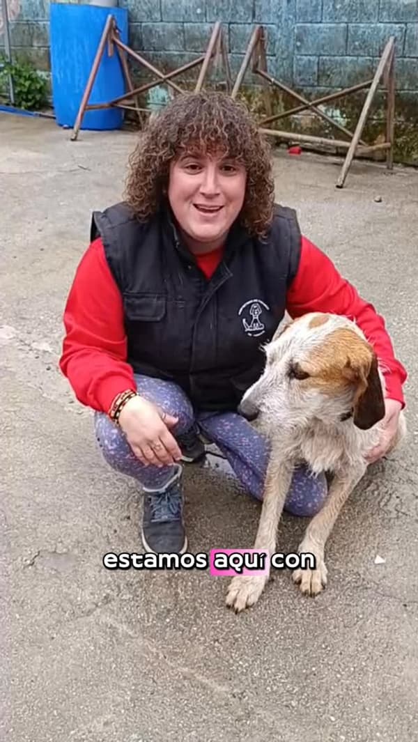 Trebón