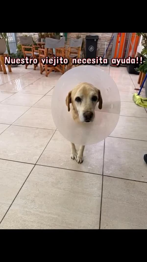 Sin nombre