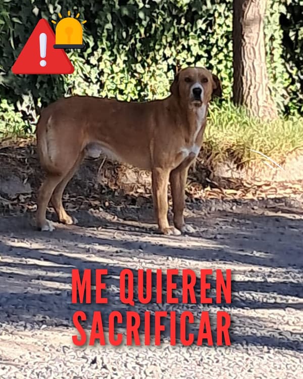 Sin nombre